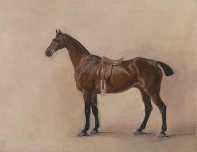 Study of a Saddled Bay Hunter by John E. Ferneley