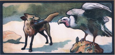 Jackals by John Edwin Noble
