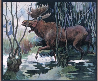 Moose by John Edwin Noble