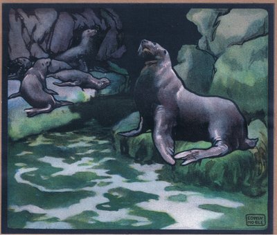 Sea Lions by John Edwin Noble