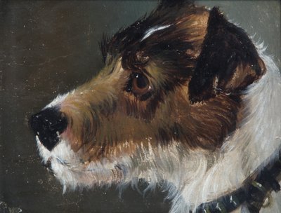 Head of a Rough-Haired Terrier by John Emms