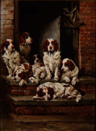 Spaniels Galore by John Emms