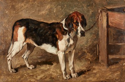 Study of a Hound by John Emms