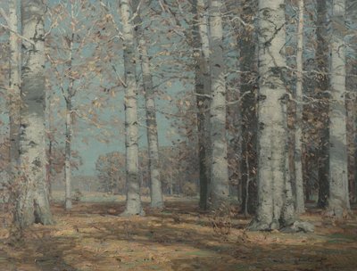 Autumn Beeches by John Fabian Carlson