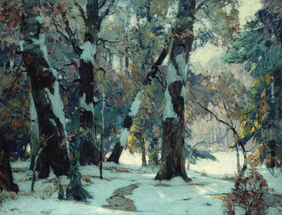 Silent Places by John Fabian Carlson