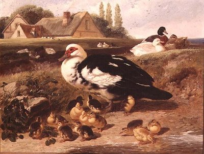 Ducks and Ducklings by John Frederick Herring Jnr