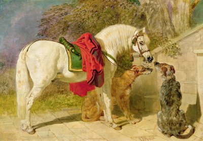 The Squire