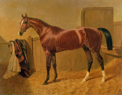 Unknown Image by John Frederick Herring Senior