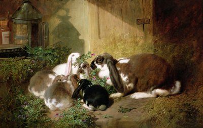 Unknown Picture by John Frederick Herring Senior
