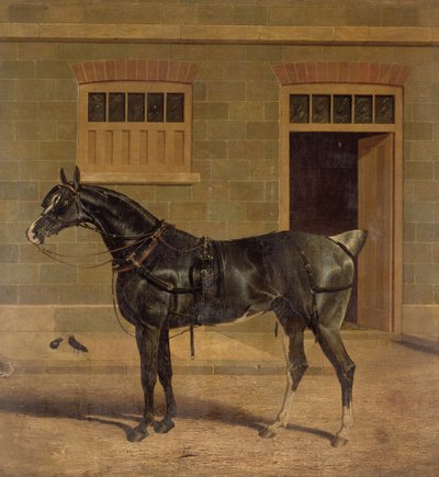 Unknown Image by John Frederick Herring Senior