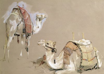 Camel Studies by John Frederick Lewis