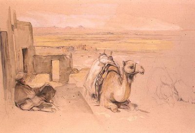 Camel, West Thebes by John Frederick Lewis