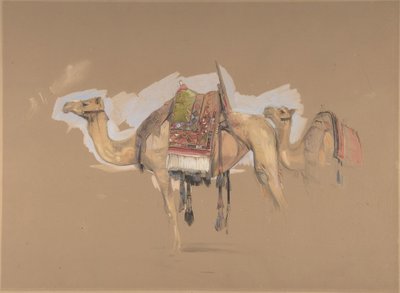 Two Camels, ca. 1843 by John Frederick Lewis