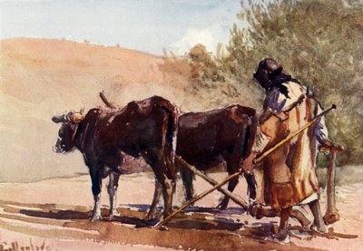 Ploughing on the Mount of Olives by John Fulleylove