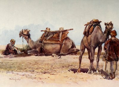 Study of Camels and Attendants by John Fulleylove