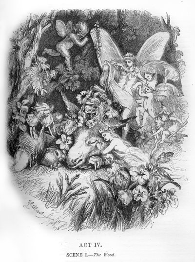 A Midsummer Night