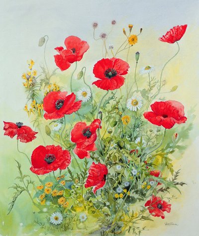 Poppies and Mayweed by John Gubbins
