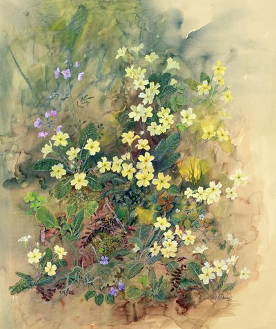 Primrose Bank by John Gubbins