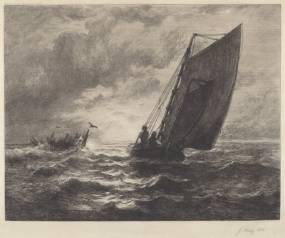 After the Storm by John Henry Hill