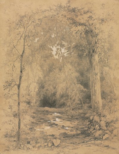 Forest Interior, c. 1870 by John Henry Hill