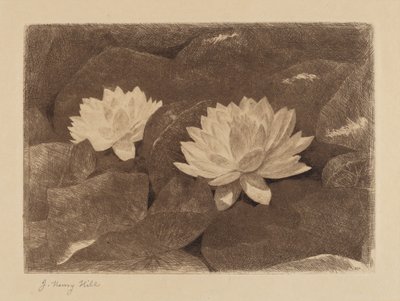 Waterlilies by John Henry Hill