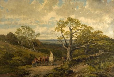 View in Sherwood Forest, Nottinghamshire by John Holland