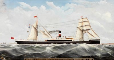 S.S. Cogent of Sunderland, 1884-85 by John Hudson