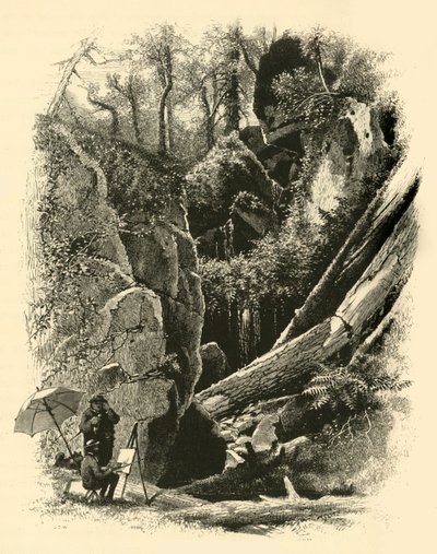 Ice Glen, Stockbridge, 1874 by John J. Harley