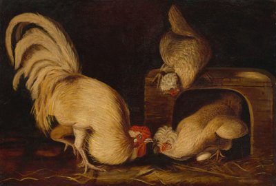 Farmyard Fowls by John James Audubon