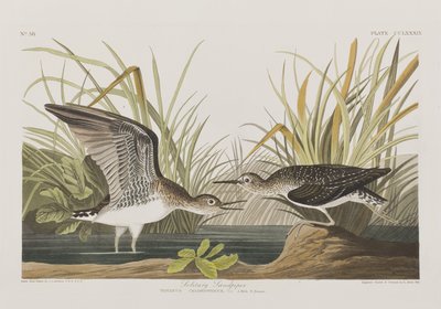 Illustration from 