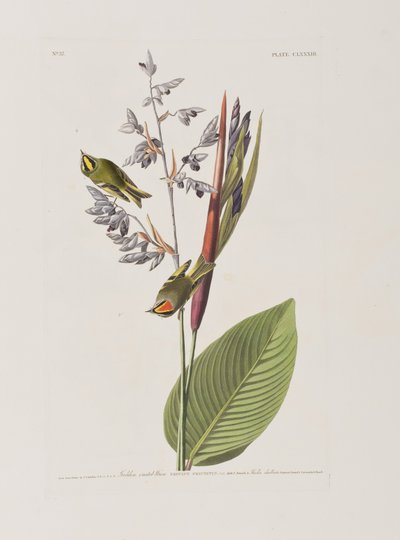 Illustration from 