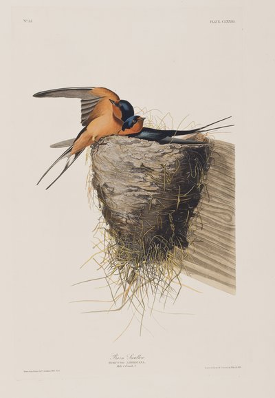 Illustration from 
