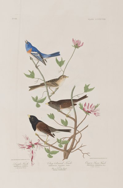 Illustration from 