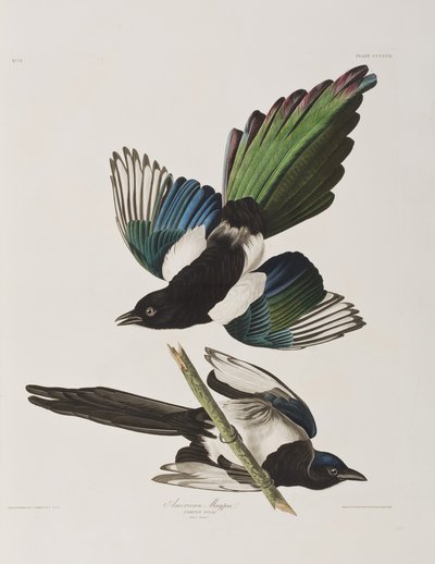 Illustration from 
