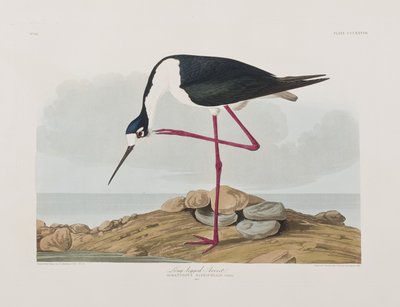 Illustration from 