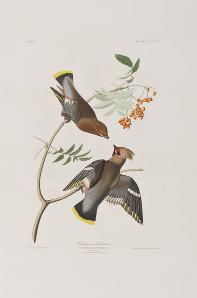 Illustration from 