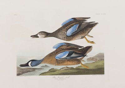Illustration from 