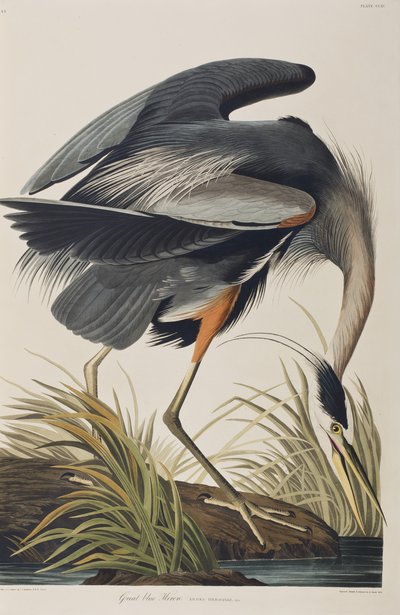 Illustration from 