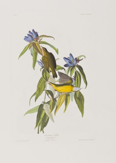 Illustration from 