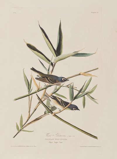 Illustration from 