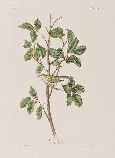 Illustration from 