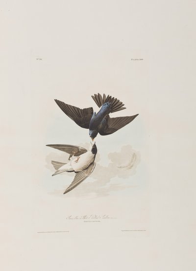 Illustration from 