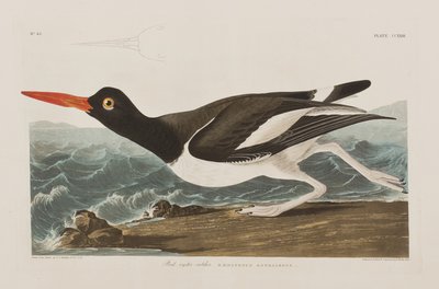 Illustration from 