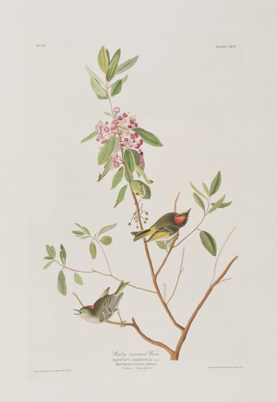 Illustration from 
