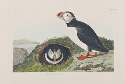 Illustration from 