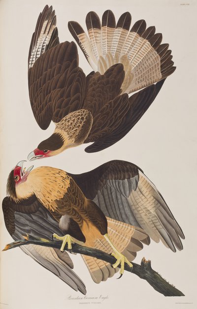 Illustration from 