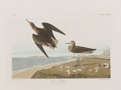 Illustration from 