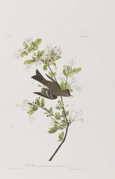 Illustration from 