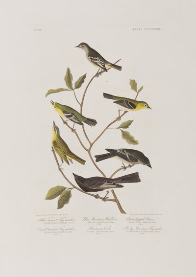 Illustration from 