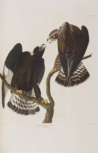 Illustration from 